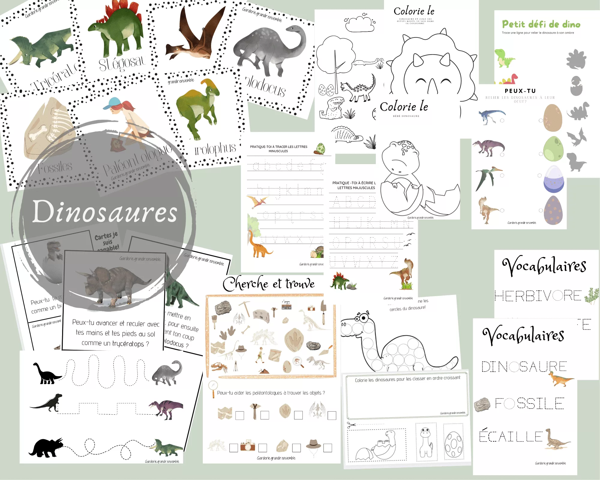 ressources pédagogiques dinosaures